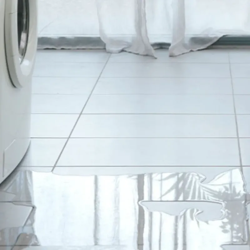 Appliance Leak Cleanup in Presidio County, TX