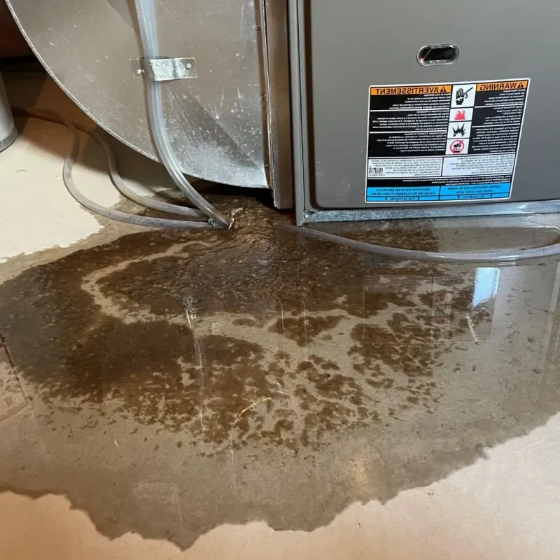 Pipe Burst and Leak Restoration in Presidio County, TX