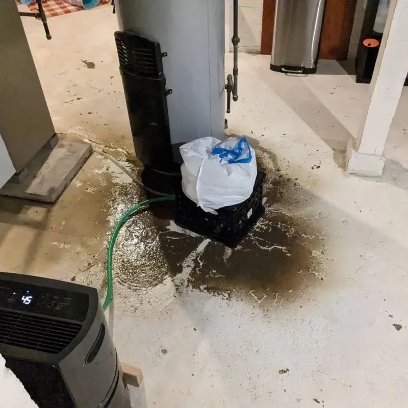 Sewage Backup Cleanup Service in Presidio County, TX